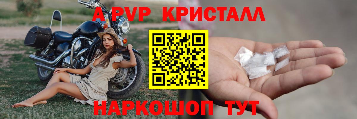Alfa_PVP СК Новочеркасск