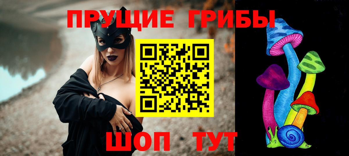 Галлюциногенные грибы MAGIC MUSHROOMS  где можно купить   Новочеркасск  Вход с VPN 