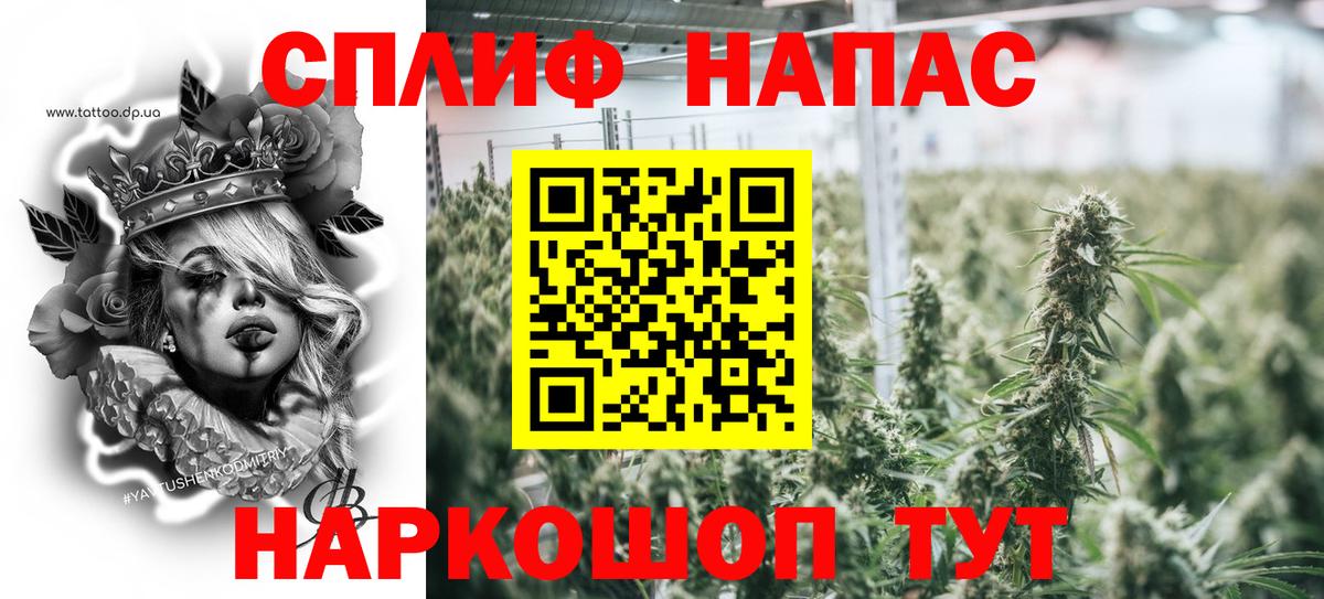 Бошки Шишки марихуана Новочеркасск